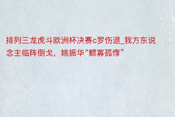 排列三龙虎斗欧洲杯决赛c罗伤退_我方东说念主临阵倒戈，姚振华“鳏寡孤惸”